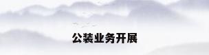 公装业务开展