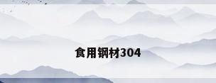 食用钢材304