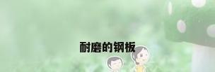 耐磨的钢板