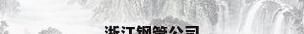 浙江钢管公司