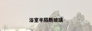 浴室半隔断玻璃