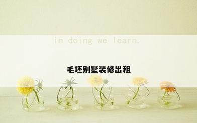 毛坯别墅装修出租