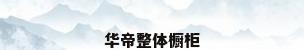 华帝整体橱柜