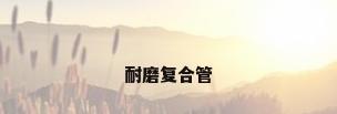 耐磨复合管
