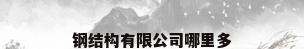 钢结构有限公司哪里多