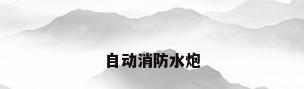 自动消防水炮