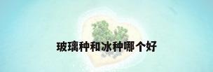 玻璃种和冰种哪个好