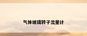 气体玻璃转子流量计