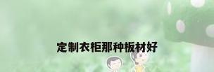 定制衣柜那种板材好