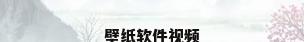 壁纸软件视频