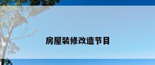 房屋装修改造节目