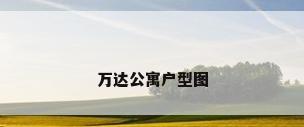 万达公寓户型图