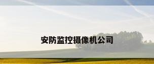 安防监控摄像机公司