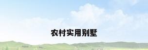 农村实用别墅