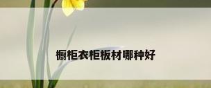 橱柜衣柜板材哪种好