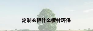 定制衣柜什么板材环保