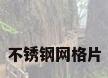 不锈钢网格片