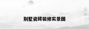 别墅瓷砖装修实景图