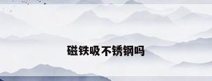 磁铁吸不锈钢吗