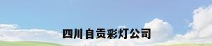 四川自贡彩灯公司
