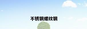 不锈钢螺纹钢