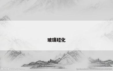 玻璃硅化