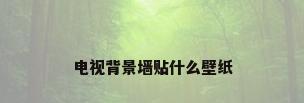 电视背景墙贴什么壁纸