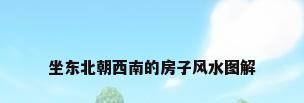 坐东北朝西南的房子风水图解