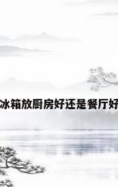 冰箱放厨房好还是餐厅好