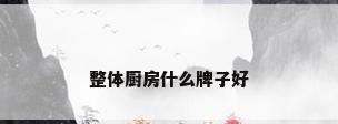 整体厨房什么牌子好