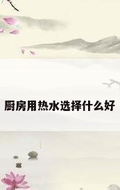 厨房用热水选择什么好