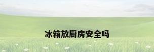冰箱放厨房安全吗