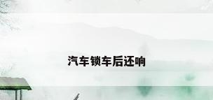 汽车锁车后还响