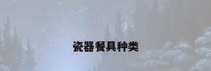 瓷器餐具种类
