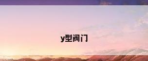 y型阀门