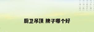 厨卫吊顶 牌子哪个好