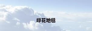 印花地毯