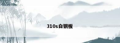 310s白钢板