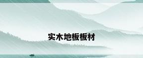 实木地板板材