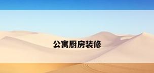 公寓厨房装修