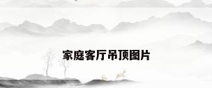 家庭客厅吊顶图片
