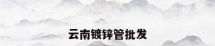 云南镀锌管批发