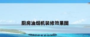 厨房油烟机装修效果图