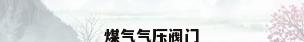 煤气气压阀门