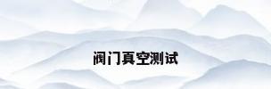 阀门真空测试