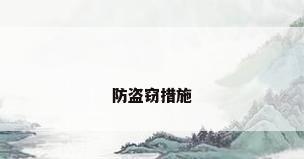 防盗窃措施