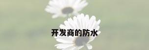 开发商的防水