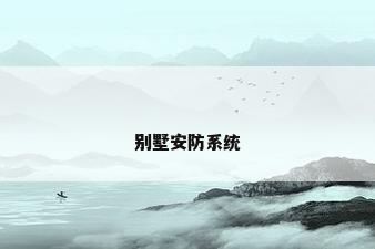 别墅安防系统