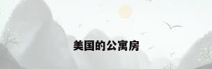 美国的公寓房