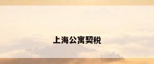 上海公寓契税